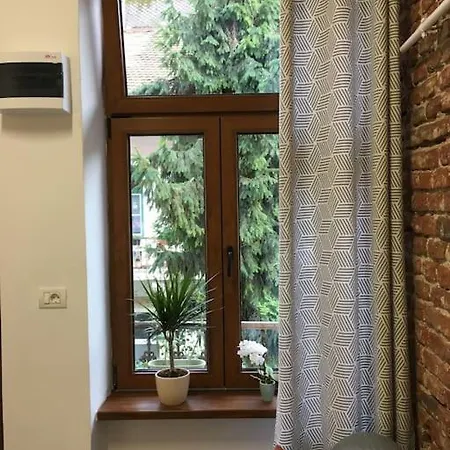 Lägenhet Ferdinand Art Cluj-Napoca