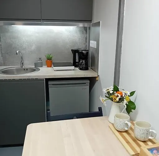 Ferdinand Art Apartment *