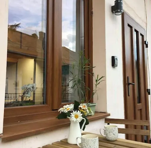 Apartmán Ferdinand Art Kluž