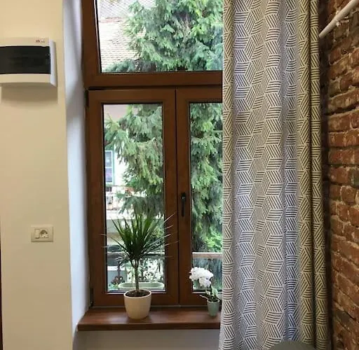 Apartment Ferdinand Art Cluj-Napoca